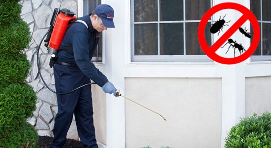 Asarlık Böcek ve Haşere İlaçlama böcek ilaçlama ve haşere kontrolü — ilaclama-tr.com